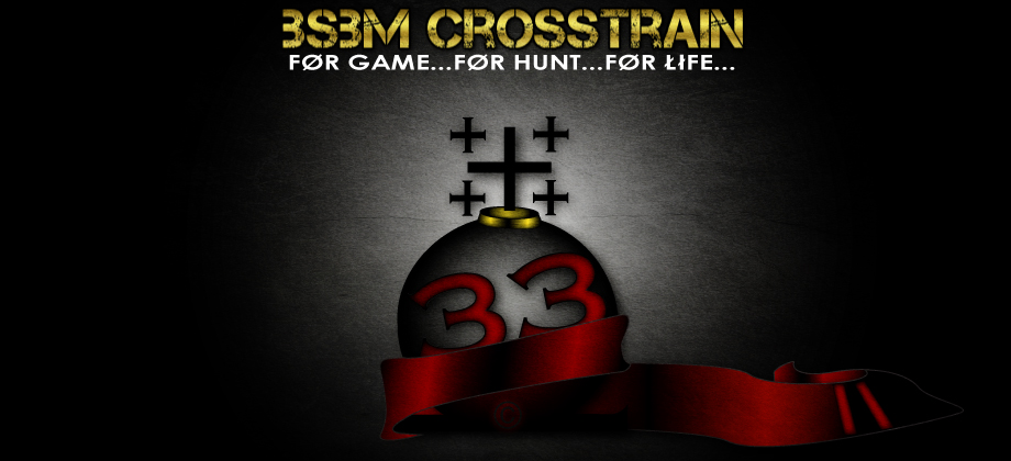 BSBM_Crosstrain_Original_Incarnations
