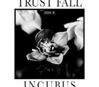 Trust Falls B